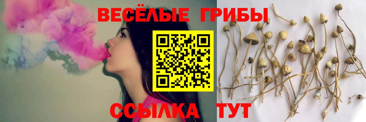 Псилоцибиновые грибы ЛСД Долгопрудный
